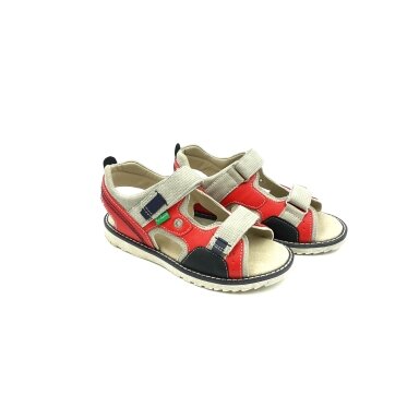 Basutės Kickers